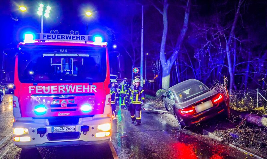 ð¡  Spektakulärer Crash  ð¡ | BMW fällt Baum & balanciert auf Baumstamm | ð  Feuerwehr Stuttgart ð